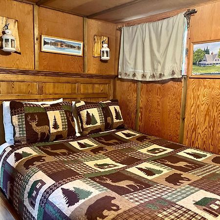 Mt Rainier Little Green Cabin On Big Creek! Ashford Exterior foto