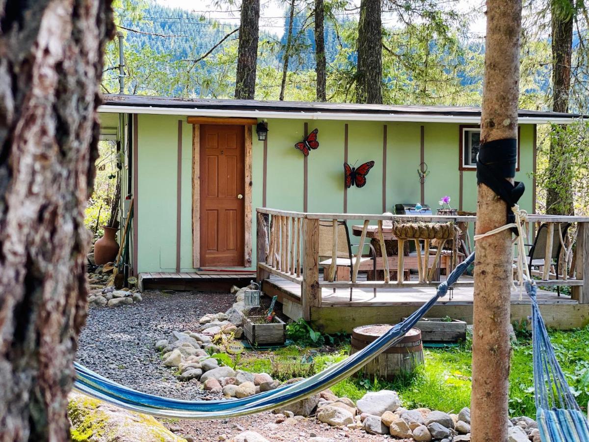 Mt Rainier Little Green Cabin On Big Creek! Ashford Exterior foto