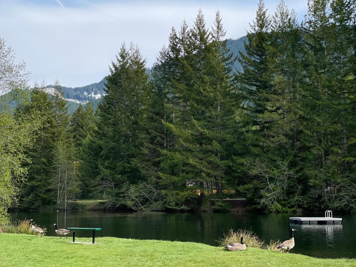 Mt Rainier Little Green Cabin On Big Creek! Ashford Exterior foto