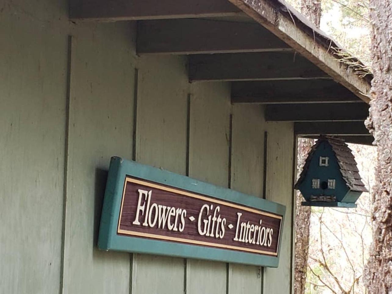 Mt Rainier Little Green Cabin On Big Creek! Ashford Exterior foto